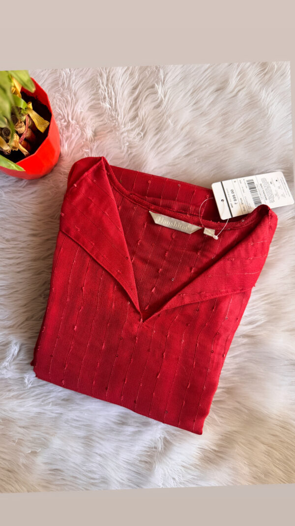 Organza Kurti with lining